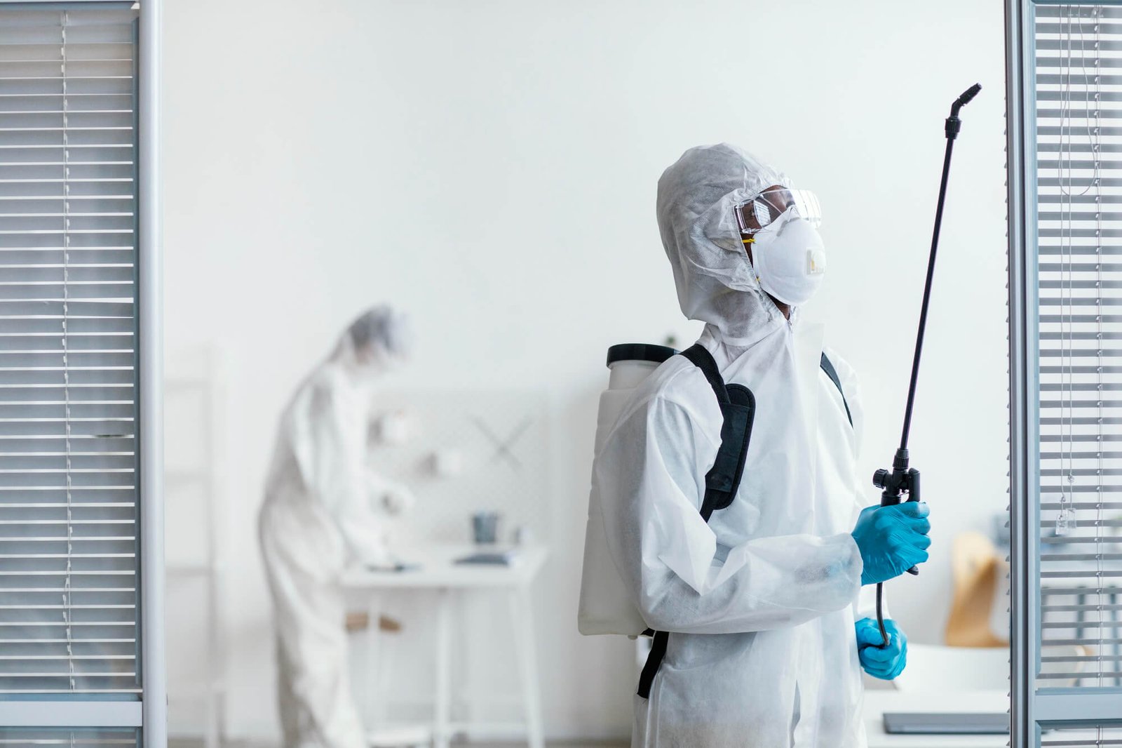 Safeguarding Your Home and Wellbeing: Urban Junggle Pest Control Services