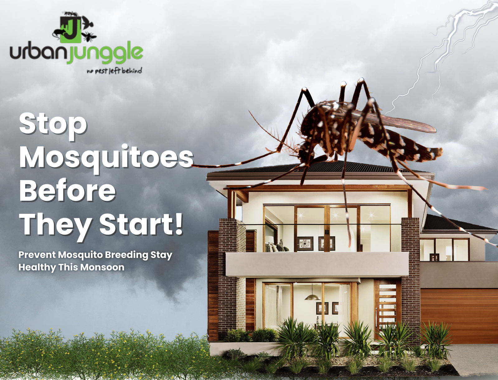 mosquito-pest-control