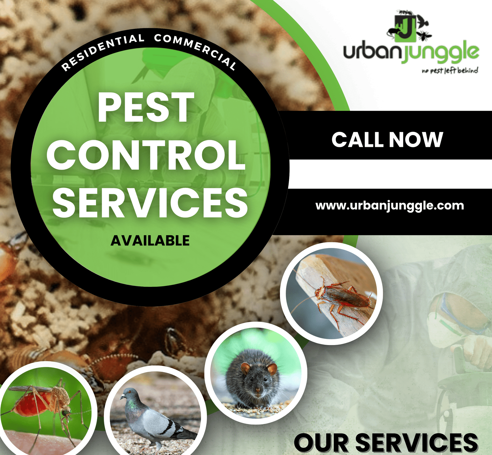 pest-control-services