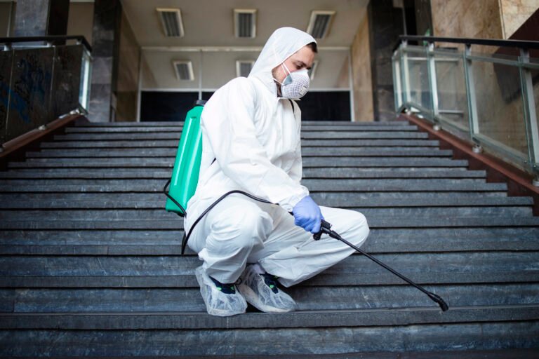 best pest control india