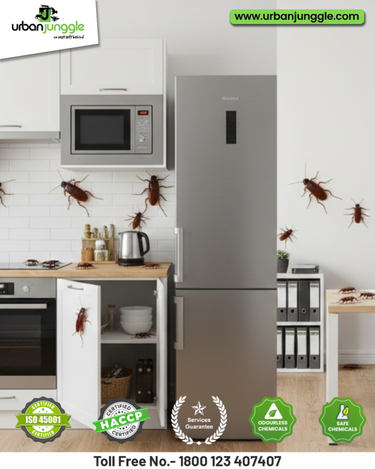 Best Pest Control Ahmedabad