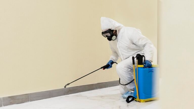 Termite Control Services