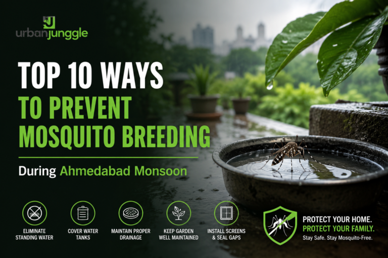 Mosquito breeding prevention during Ahmedabad monsoon