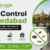 Pest Control Ahmedabad: Complete Guide to Safe, Affordable & Effective Pest Control Services (2026) 