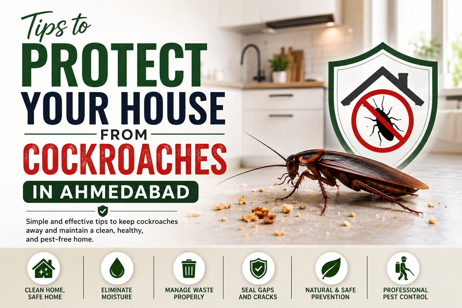 pest control services Ahmedabad