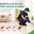 What Should You Look for in the Best Pest Control in India?