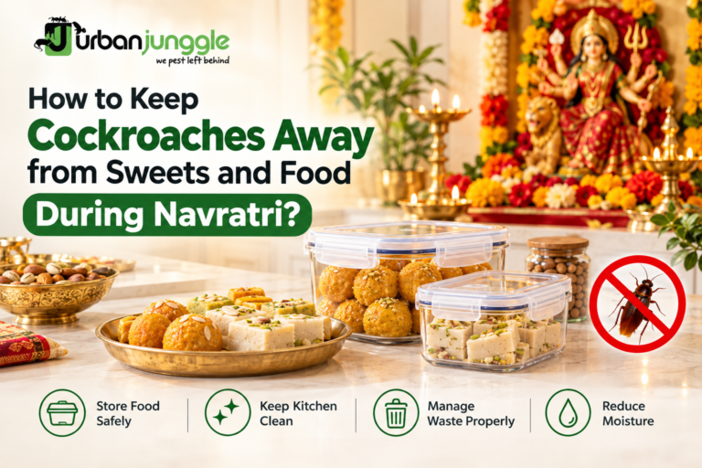 How to keep cockroaches away from sweets and food during Navratri with kitchen pest control tips