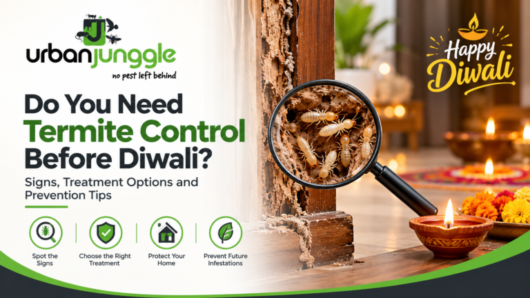 Professional termite inspection of wooden furniture before Diwali